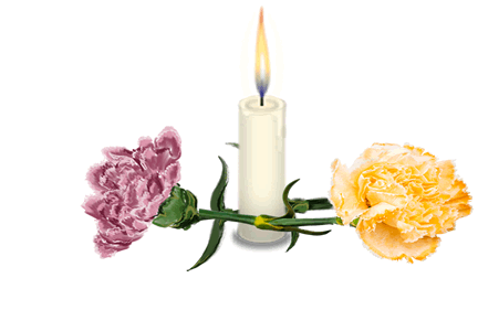 image of purple carnation laying to the left and a yellow carnation lying to the right withtheir stems together and a white memorial candle burning behind them